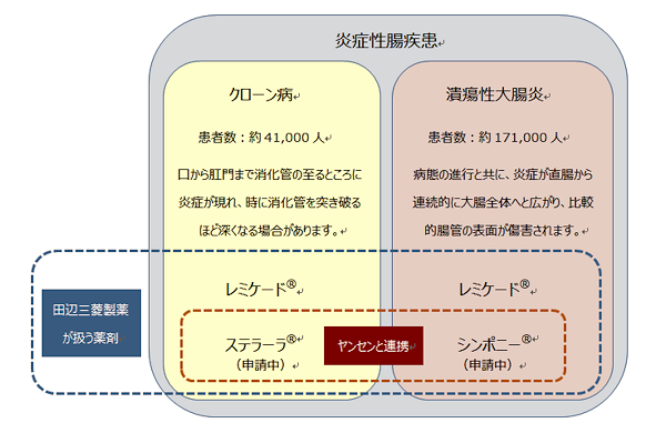 炎症性腸疾患　クローン病　患者数：約41,000人　口から肛門まで消化管の至るところに炎症が現れ、時に消化管を突き破るほど深くなる場合があります。田辺三菱製薬が扱う薬剤　レミケード　ステラーラ（申請中）　潰瘍性大腸炎　患者数：約171,000人　病態の進行と共に、炎症が直腸から連続的に大腸全体へと広がり、比較的腸管の表面が傷害されます。田辺三菱製薬が扱う薬剤　レミケード　シンポニー（申請中）　ヤンセンと提携